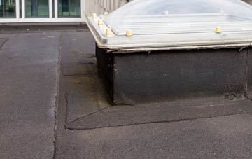 disadvantages of Darnick flat roofs