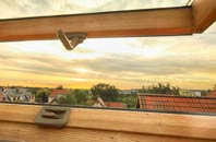 rated Darnick roof window companies